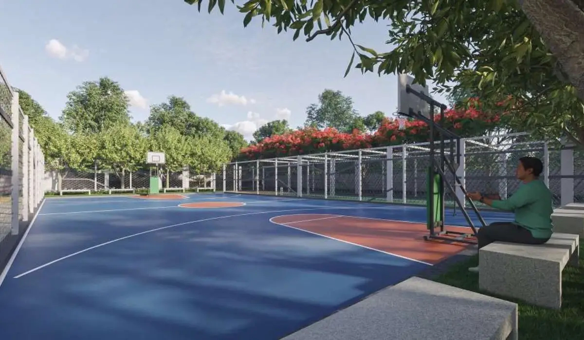 dsr elixir amenities