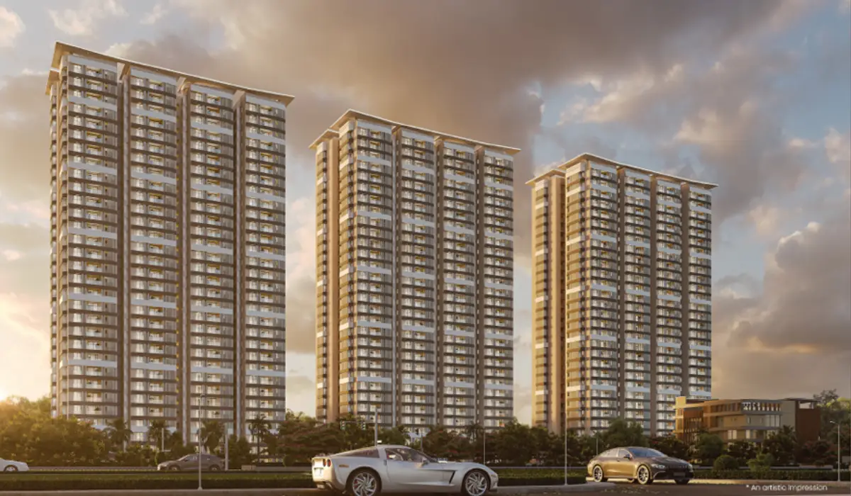 Dsr Codename Eq whitefield